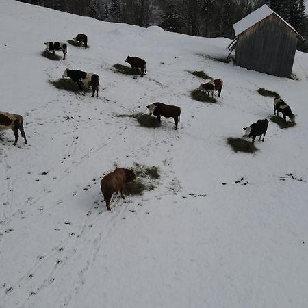 Hotel Casa Agroturistica Tarancuta Din Vatra Moldoviţei Exterior foto
