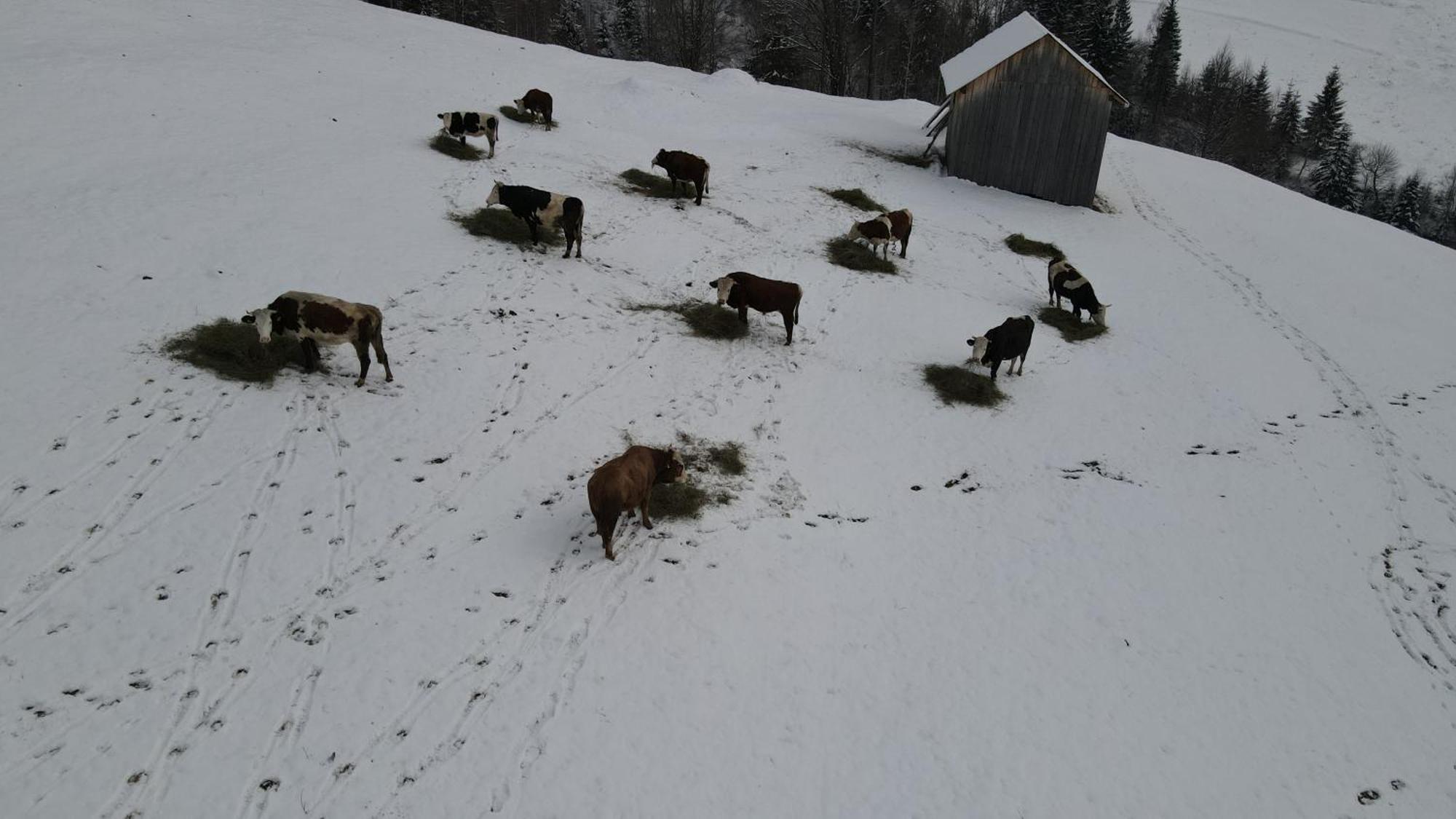 Hotel Casa Agroturistica Tarancuta Din Vatra Moldoviţei Exterior foto