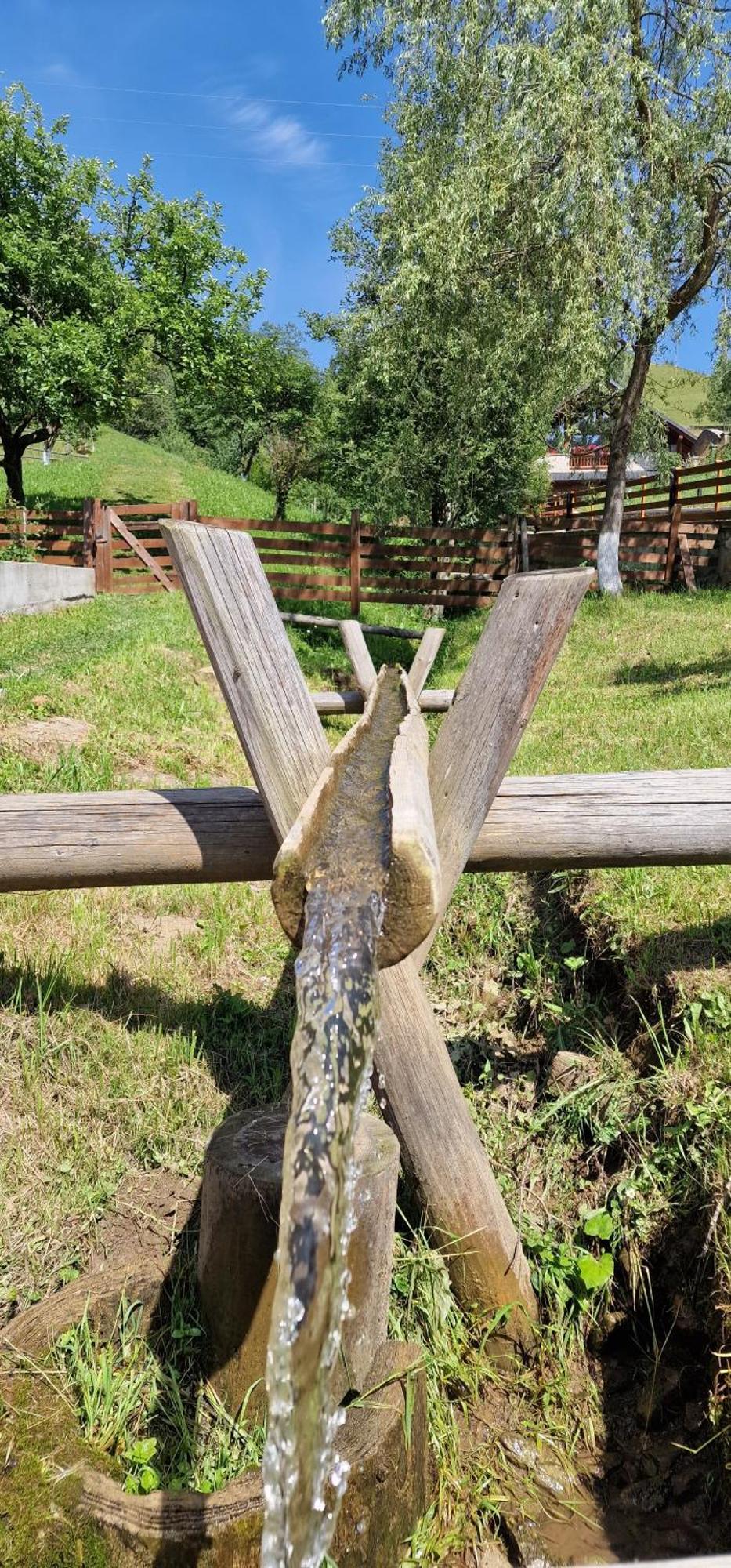 Hotel Casa Agroturistica Tarancuta Din Vatra Moldoviţei Exterior foto