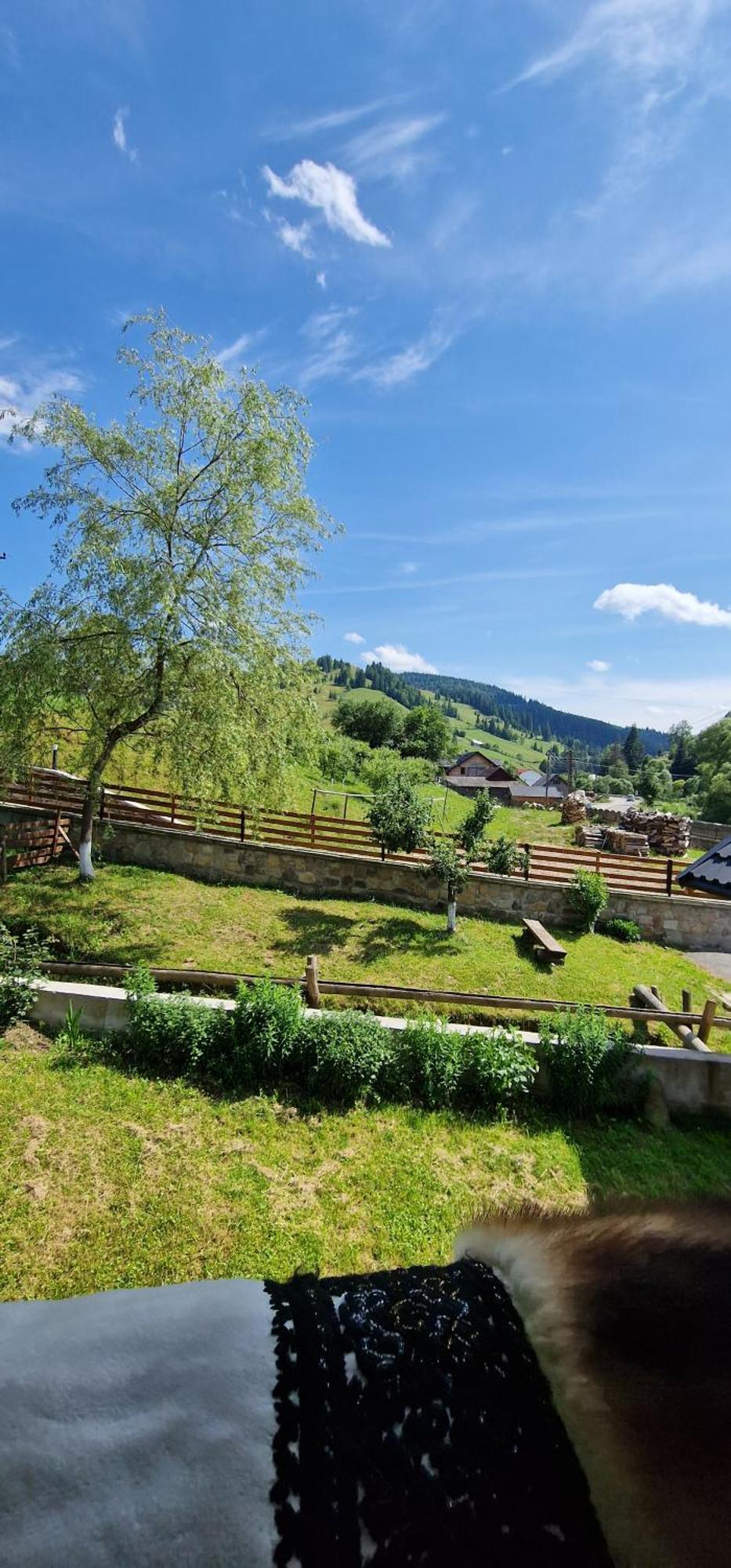 Hotel Casa Agroturistica Tarancuta Din Vatra Moldoviţei Exterior foto