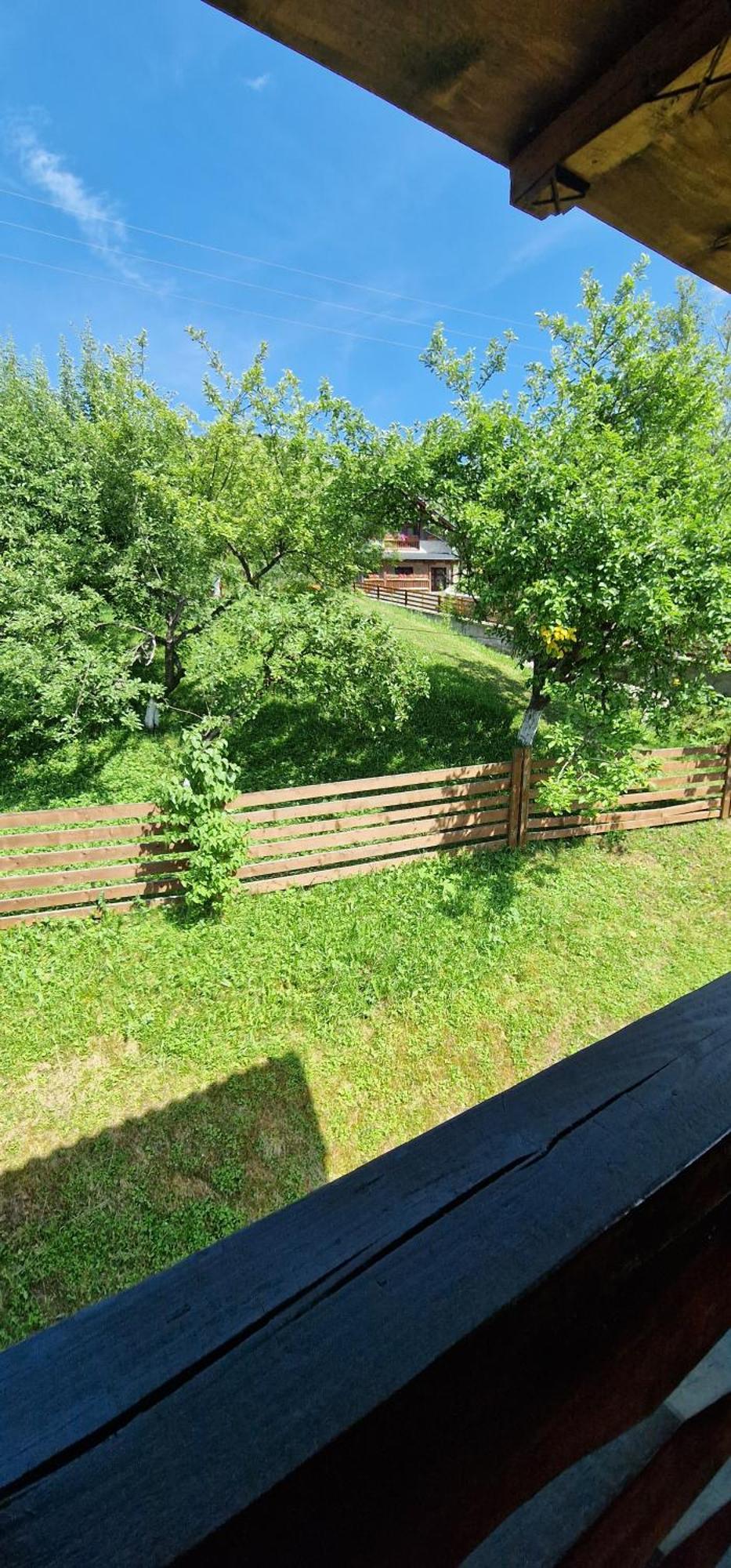 Hotel Casa Agroturistica Tarancuta Din Vatra Moldoviţei Exterior foto