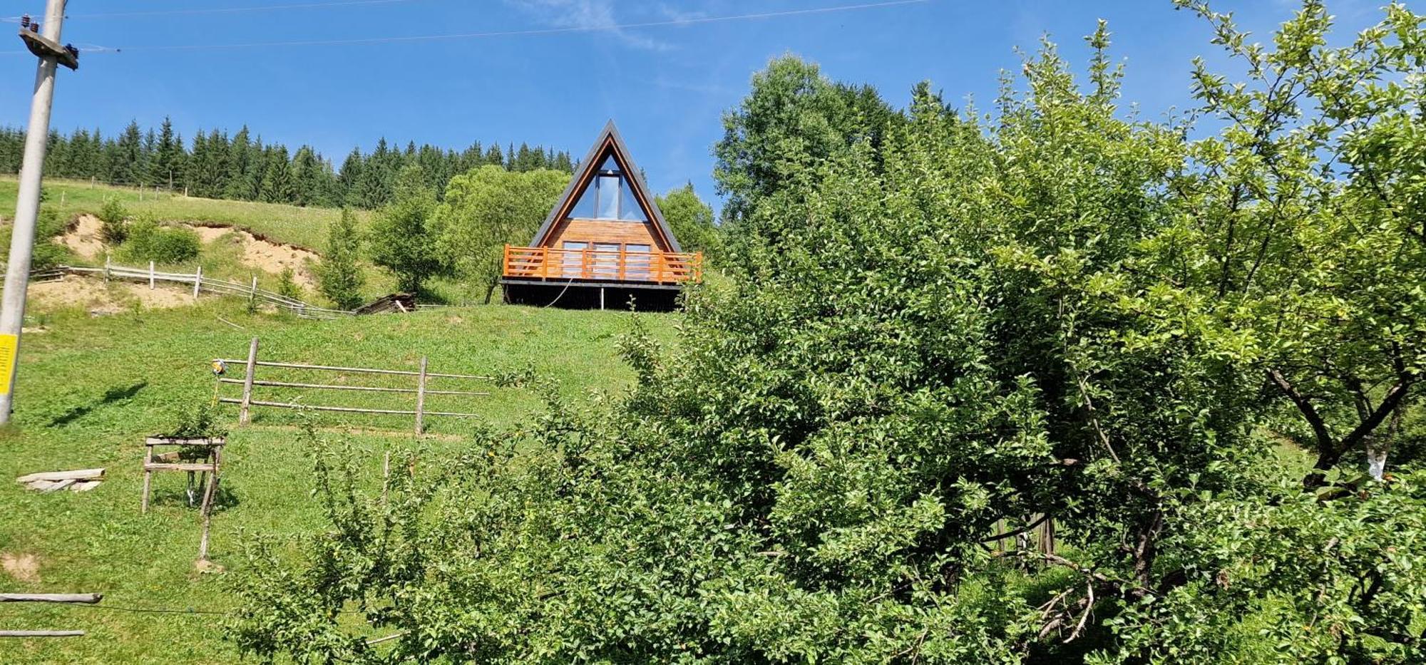 Hotel Casa Agroturistica Tarancuta Din Vatra Moldoviţei Exterior foto