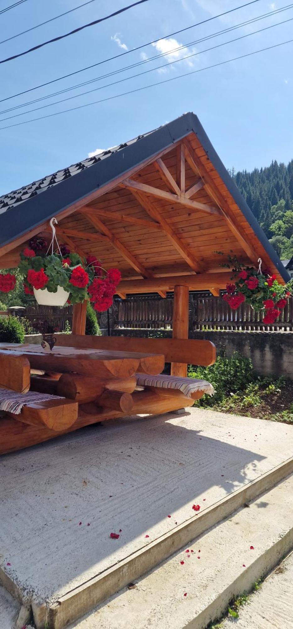 Hotel Casa Agroturistica Tarancuta Din Vatra Moldoviţei Exterior foto