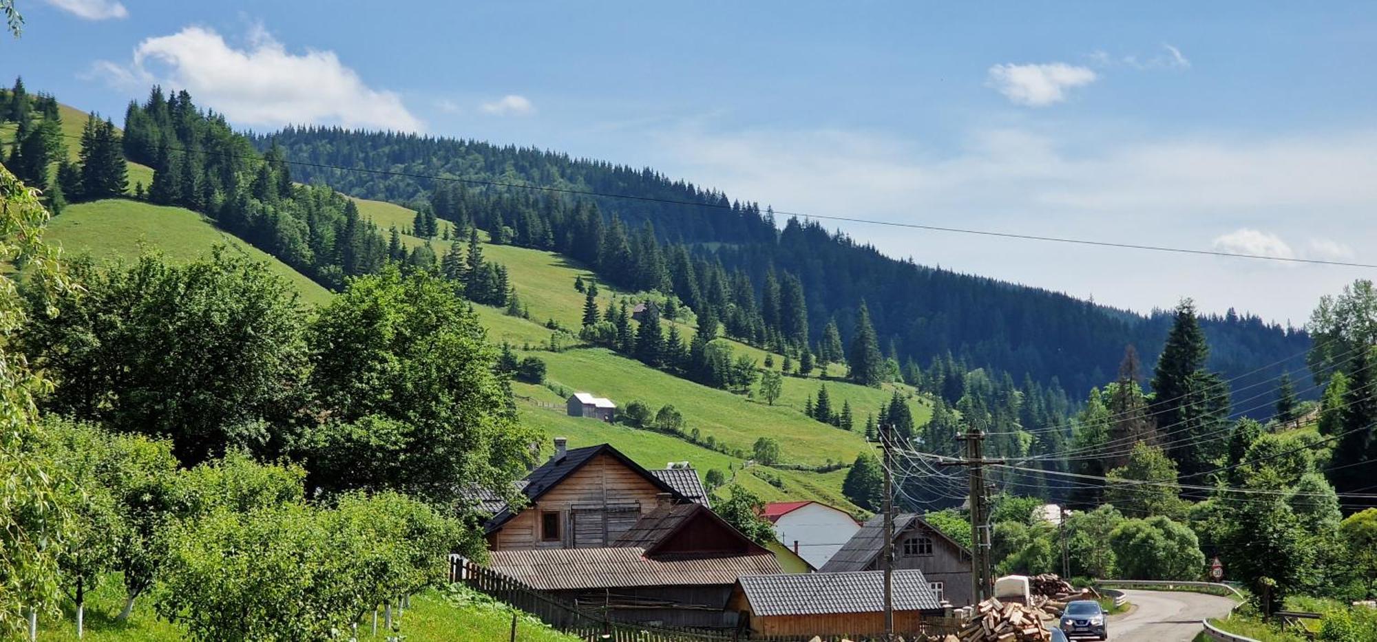 Hotel Casa Agroturistica Tarancuta Din Vatra Moldoviţei Exterior foto